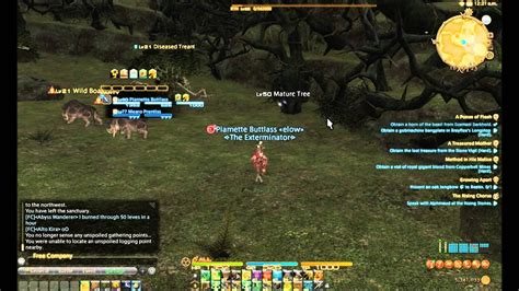 ffxiv truth of forests.